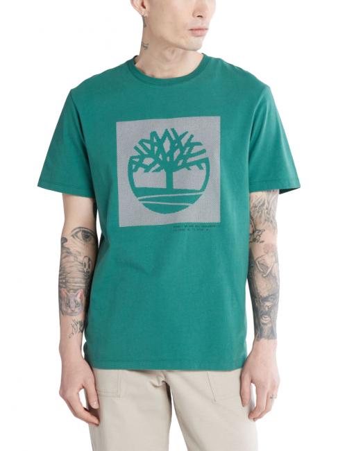 TIMBERLAND GRAPHIC T-Shirt mit Baum-Grafik Sträußchen grün - Herren-T-Shirts