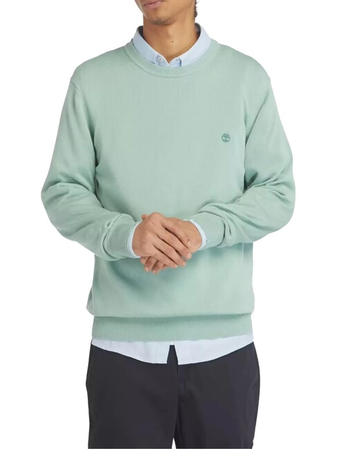 TIMBERLAND WILLIAMS RIVER Pullover mit Rundhalsausschnitt granitgrün - Herrenpullover