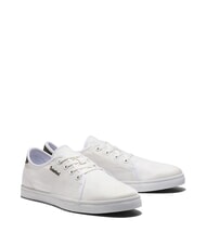 TIMBERLAND SHAPE PARK LOW  Turnschuhe - Herrenschuhe