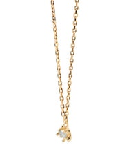 PDPAOLA COLOR GREY FLEUR Anhängerkette mit Zirkonia und Krallen - Halsketten