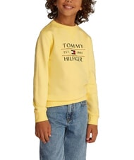 TOMMY HILFIGER TH KIDS Sweatshirt mit Rundhalsausschnitt und Aufdruck Zitronengras - Sweatshirts Kinder - 1