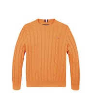 TOMMY HILFIGER TH KIDS Baby-Baumwollpullover orangefarbener Donner - Kinderpullover - 1