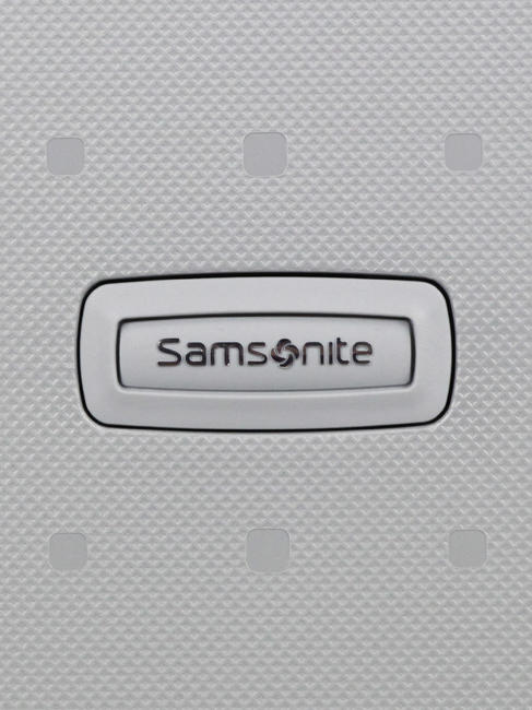 S'CURE S'CURE, Handgepäck SILBER - Handgepäck