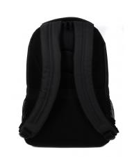 DELSEY ELEMENT AVIATOR Rucksack mit zwei Fächern, 15,6 "PC-Halterung Schwarz - PC-Rucksäcke - 4