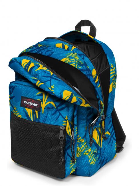 PINNACLE Rucksack Brize t&uuml;rkis - Rucks&auml;cke f&uuml;r Schule &amp; Freizeit