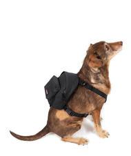 EASTPAK DOG PAK'R Mini-Rucksack für Hunde - Artikel für Tiere