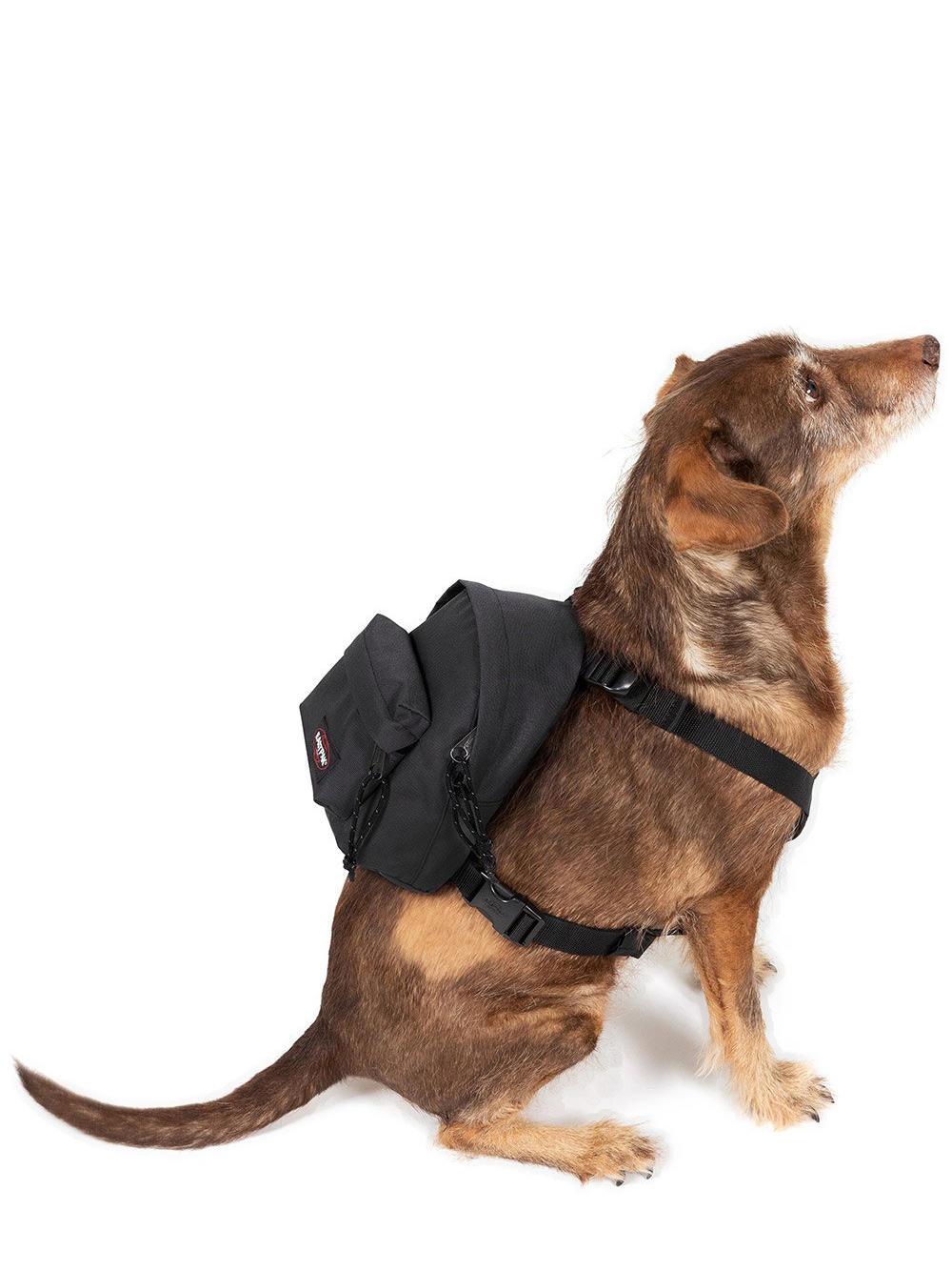 Rucksack für tiere Clearance