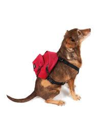 EASTPAK DOG PAK'R Mini-Rucksack für Hunde Matrose Rot - Artikel für Tiere - 2