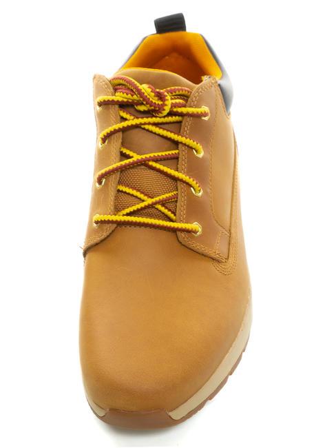 KILLINGTON LOW Ledersneaker Weizen - Herrenschuhe