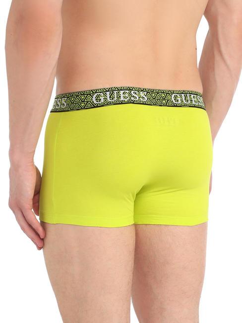 JOE TRUNK Set mit 3 Boxershorts erraten Sie Palmen - Herrenslip