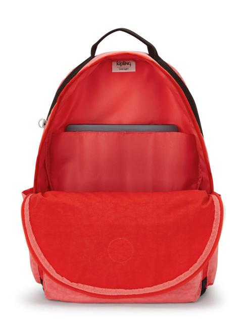 DAMIEN L Rucksack mit 15,6-Zoll-Laptophalter Tango-Rosa-Block - Rucksäcke für Schule &amp; Freizeit