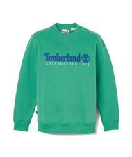 TIMBERLAND ESTABILISHED 1973 Sweatshirt mit Rundhalsausschnitt keltisches Grün wb - Sweatshirts Herren - 4