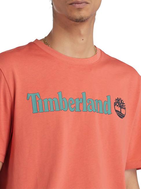 KENNEBEC RIVER LINEAR LOGO Baumwoll t-shirt gebrannte Siena-App - Herren-T-Shirts