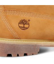 TIMBERLAND 6 INCH PREMIUM Stiefeletten aus Nubukleder Gelb - Herrenschuhe - 5