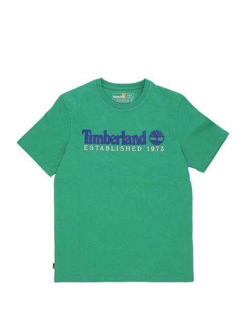 ESTABILISHED 1973 Baumwoll t-shirt keltisches Grün wb - Herren-T-Shirts