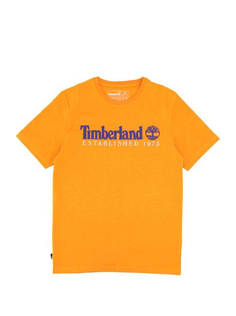 ESTABILISHED 1973 Baumwoll t-shirt dunkler Cheddar wb - Herren-T-Shirts
