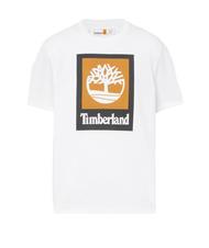 TIMBERLAND STACK LOGO Baumwoll t-shirt Weiß - Herren-T-Shirts - 3