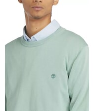 TIMBERLAND WILLIAMS RIVER Pullover mit Rundhalsausschnitt granitgrün - Herrenpullover - 3
