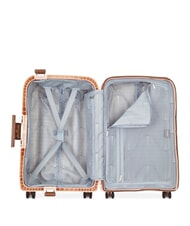 DELSEY MONCEY MR  Handgep&auml;ckwagen - Handgep&auml;ck