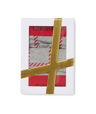 CALVIN KLEIN CK BH- und Tanga-Geschenkpaket Herren Window Pane_Grey Heather - BHs Damen - 4