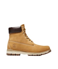 TIMBERLAND RADFORD Stiefeletten aus Leder - Herrenschuhe