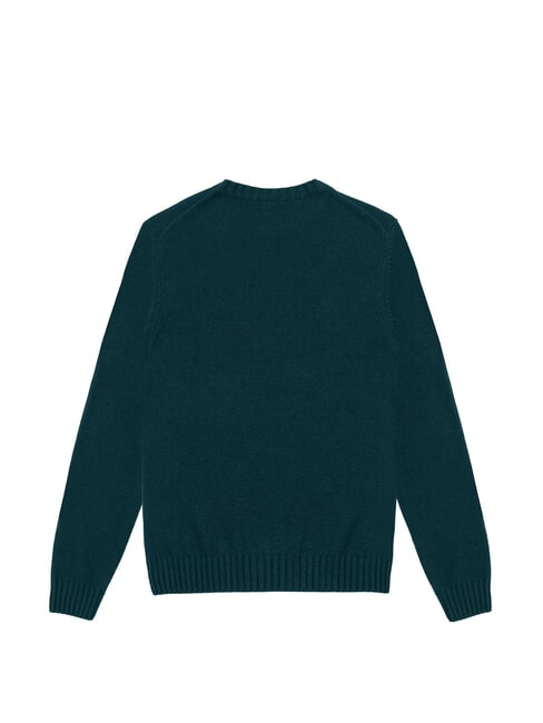 STANDARD  Pullover mit Rundhalsausschnitt Flasche - Herrenpullover