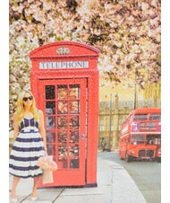 YNOT YESBAG SPECIAL Umh&auml;ngetasche aus Metall mit Umschlag Englische Rose - Damentaschen - 3