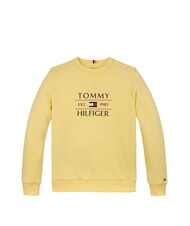 TOMMY HILFIGER TH KIDS Sweatshirt mit Rundhalsausschnitt und Aufdruck Zitronengras - Sweatshirts Kinder - 4