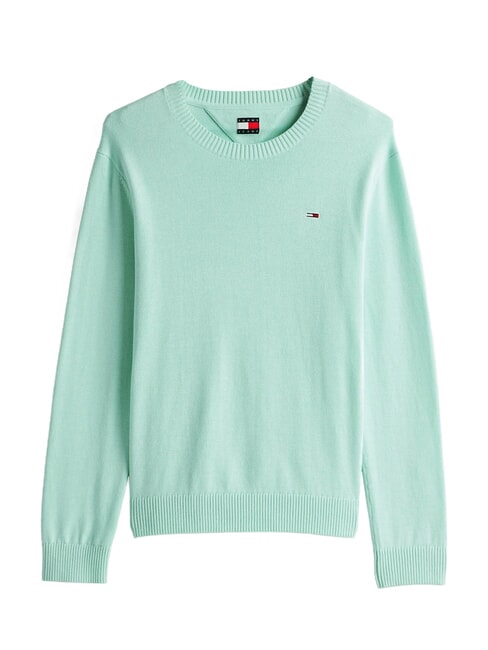 TH JEANS Baumwollpullover mit Rundhalsausschnitt Fr&uuml;hlingsminze - Herrenpullover