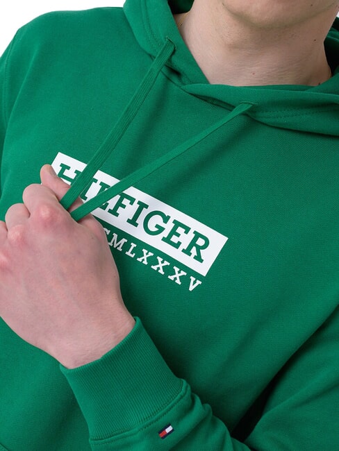 TH Bedruckter Hoodie neues Gr&uuml;n - Sweatshirts Herren