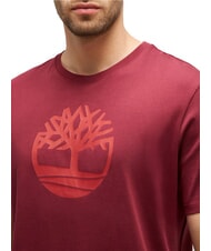 TIMBERLAND KBEC RIVER Kurzarm-T-Shirt Burgund - Herren-T-Shirts - 3