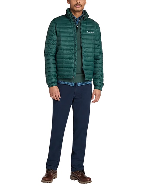 AXIS PEAK Herrenjacke gr&uuml;ne Giebel - Herrenjacken