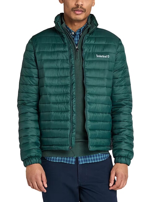 AXIS PEAK Herrenjacke gr&uuml;ne Giebel - Herrenjacken