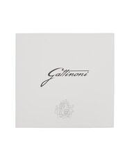 GATTINONI PLANETARIUM Seidentuch Aquarell - Schals - 4