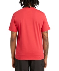 TIMBERLAND KENNEBEC RIVER LINEAR LOGO Baumwoll t-shirt Amerikanische Sch&ouml;nheit - Herren-T-Shirts - 2